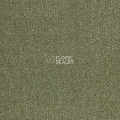 Ковролин AW Sentiment 29 фото 1 | FLOORDEALER